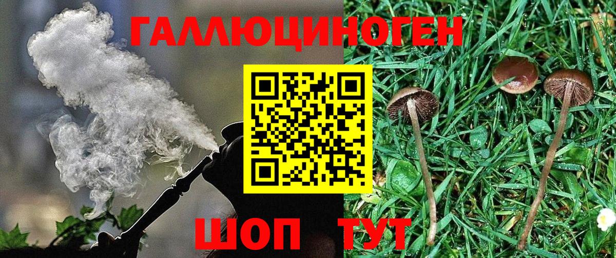 Галлюциногенные грибы прущие грибы  Псилоцибиновые грибы Psilocybe  Вход с VPN  Усть-Джегута 