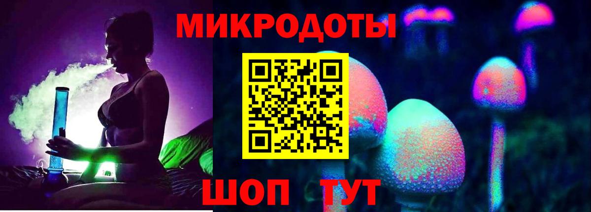 Псилоцибиновые грибы прущие грибы Усть-Джегута