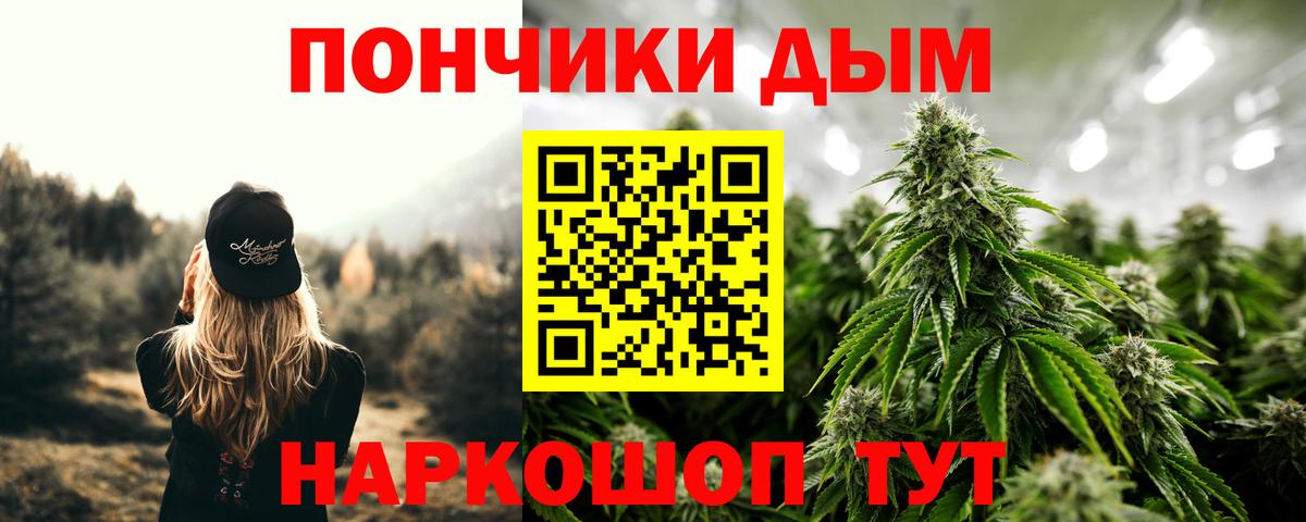 Канабис план Усть-Джегута